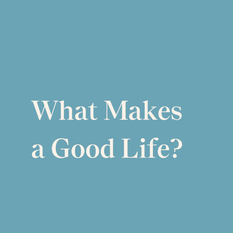 What Makes A Good Life